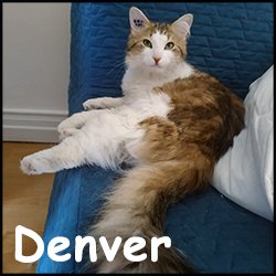 Denver