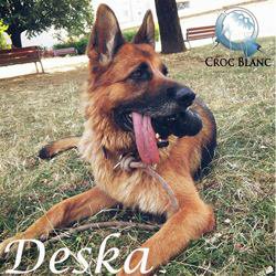 Deska