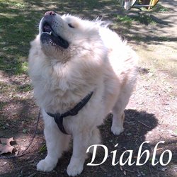 Diablo