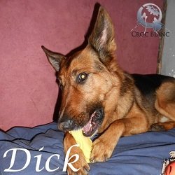 Dick3