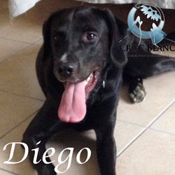 Diego