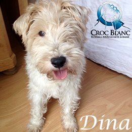 Dina