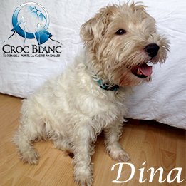 Dina