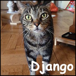 Django2
