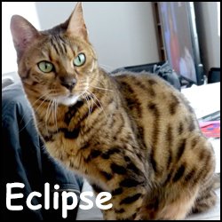 Eclipse