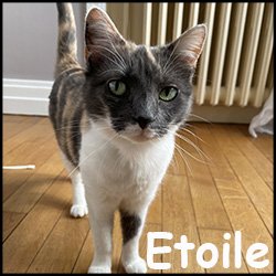 Etoile