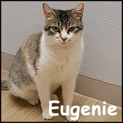 Eugenie