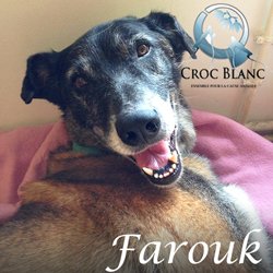 Farouk