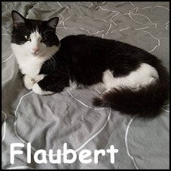 Flaubert