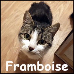 Framboise