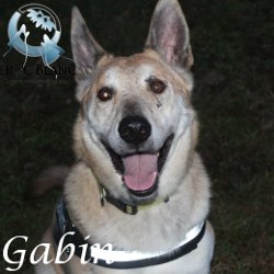 Gabin