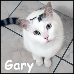 Gary