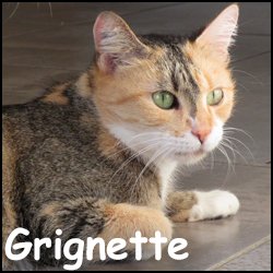 Grignette