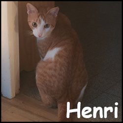 Henri