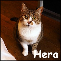 Hera