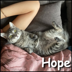 Hope