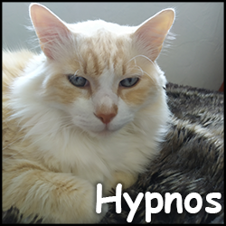 Hypnos