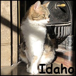 Idaho