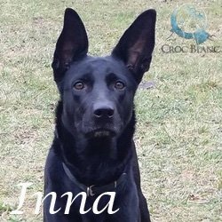 Inna