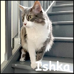 Ishka