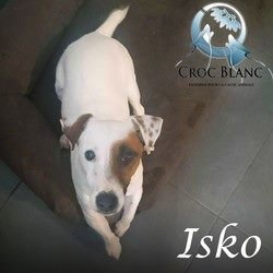 Isko