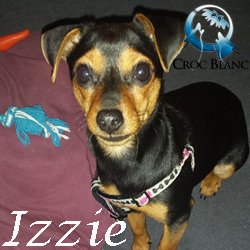 Izzie
