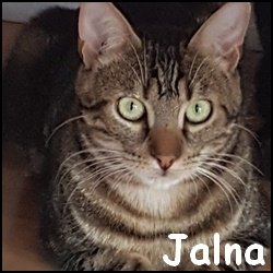 Jalna