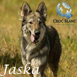 Jaska