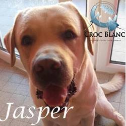 Jasper