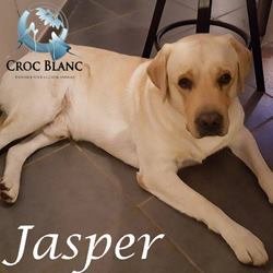 Jasper