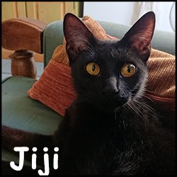 Jiji