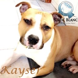 Kayser