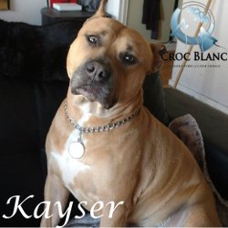 Kayser