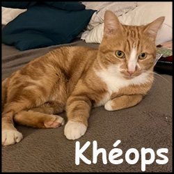 Kheops