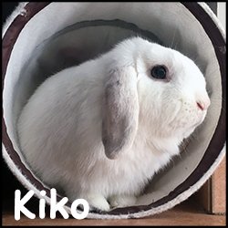 Kiko