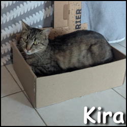Kira
