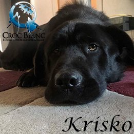 Krisko