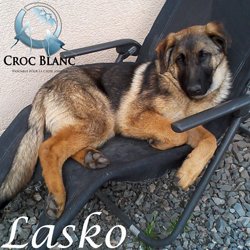 Lasko