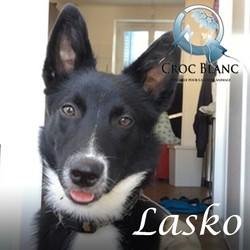 Lasko