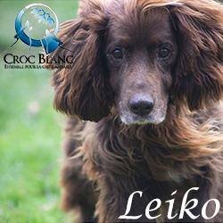 Leiko