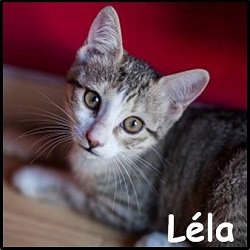 lela