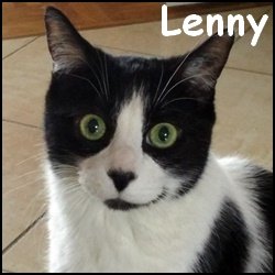 Lenny