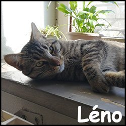 Léno