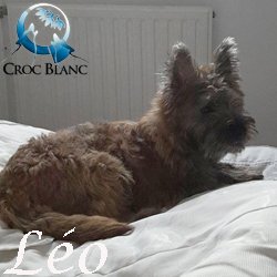 Léo2