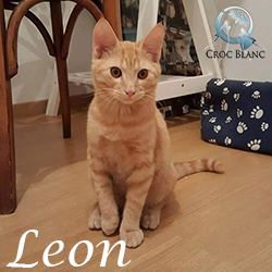 leon