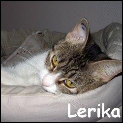 Lerika