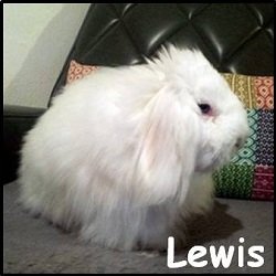 Lewis