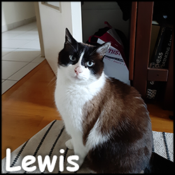 Lewis