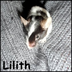 Lilith