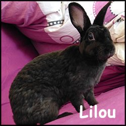 Lilou